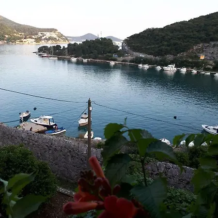 Apartment Vesna - Your Choice - 80 M From Zaton (Dubrovnik-Neretva)
