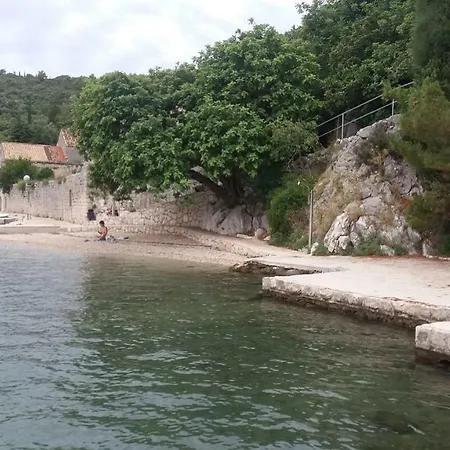 Vesna - Your Choice - 80 M From *