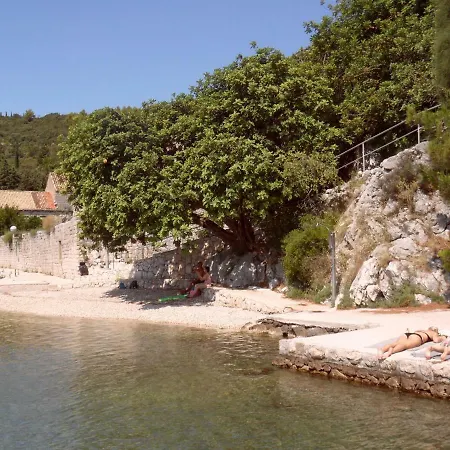 Vesna - Your Choice - 80 M From