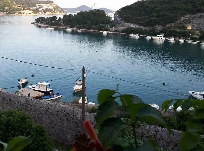 Appartement VESNA-your best choice Zaton (Dubrovnik-Neretva)